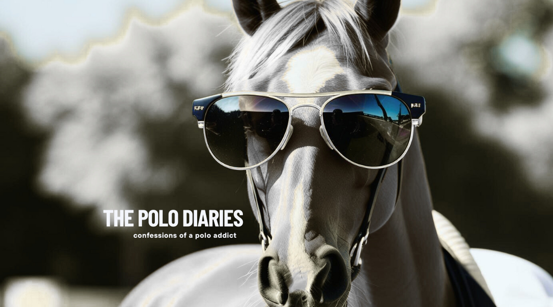 The POLO DIARIES | Confessions of a Polo Addict