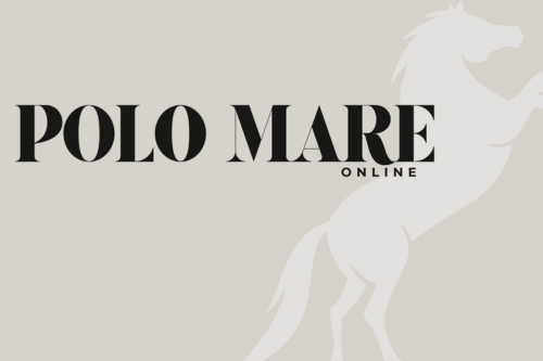 POLO MARE ONLINE